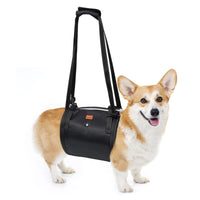 Dog Lift Harness for Rehabilitation and Walking Assistance