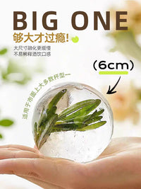 German Food Grade Large Ice Ball Mold Silicone Round Ice Cube Tray for Whiskey Cocktails