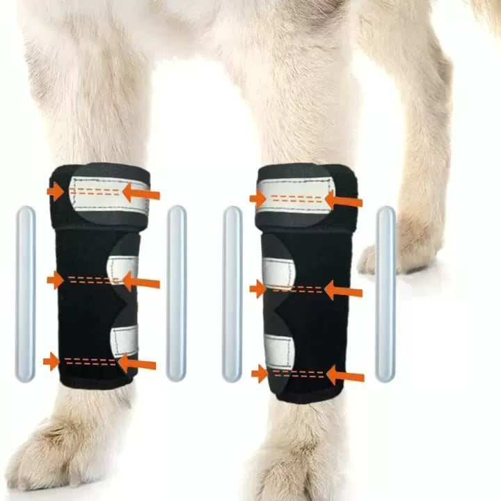 Pet Dog Knee Brace with Reflective Strip for Joint Support and Protection