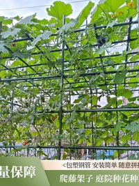 Heavy Duty Coated Steel Garden Arch Trellis for Climbing Plants, Vegetables, and Fruits