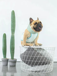 Pet Cooling Bandana for Dogs - Summer Heat Relief Ice Collar for French Bulldogs, Corgis, and English Bulldogs