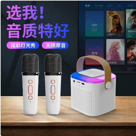 Wireless Bluetooth Speaker with Microphone, Portable Mini Desktop Speaker with Bass, Karaoke Function