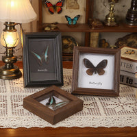 European Retro Hollow 3D Specimen Display Frame for Butterflies and Insects, Square Wooden Picture Frame