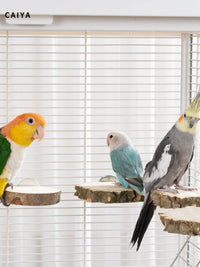 Parrot Prickly Ash Wood Standing Platform for Budgies and Peonies, Solid Wood Rest Platform, Jumping Platform, Bird Cage Decoration