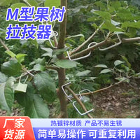 M-Type Fruit Tree Branch Spreader for Shaping and Fixing Branches