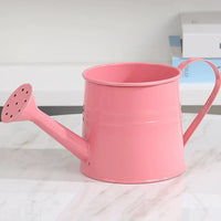 Decorative Iron Art Watering Can for Floral Arrangements and Spring Decor