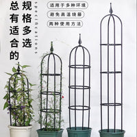 Garden Plant Support Trellis for Climbing Flowers - Rose, Clematis, Wisteria