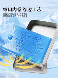 Pet Chinchilla Hamster Guinea Pig Cooling Ice Box Stainless Steel Ice Pad