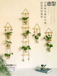 Modern Minimalist Wall-Mounted Hydroponic Glass Vase Decor