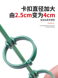 Plant Support Stakes for Climbing Plants, Monstera, Tomatoes, and Garden Vegetables