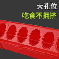Poultry Feeder Trough with Drinker for Chickens, Ducks, and Geese - Spill-Proof Rectangular Feeding Trough