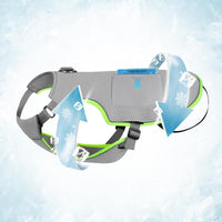 Cooling Dog Vest with Ice Packs for Summer Heat Relief, Adjustable Pet Cooling Jacket