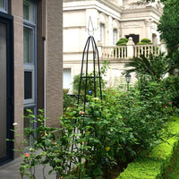 Metal Clematis Tower Trellis for Climbing Plants, Detachable Rose and Vine Support