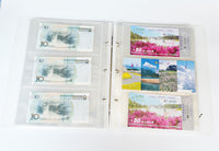Multi-functional Ticket and Photo Album for Collectibles and Memorabilia