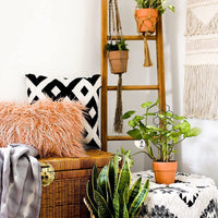 Creative Leaf/Honeycomb Plant Climbing Support Stakes for Potted Plants