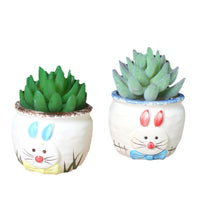 Hand-Painted Ceramic Succulent Planter Pots for Indoor Plants