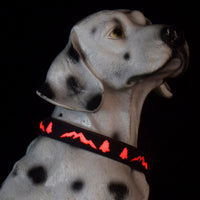 LED Light-Up Pet Collar and Leash Set for Dogs, Rechargeable Glowing Christmas Tree Pattern