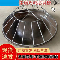 Chicken Feeder Trough and Waterer for Poultry