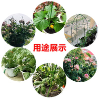 Plant Support Stakes for Climbing Plants, Potted Flowers, and Garden Vines