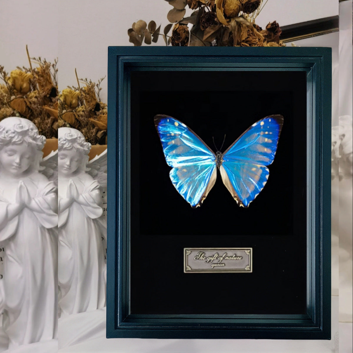 3cm Deep Shadow Box Frame with High-Transparency Glass for Butterfly Insect Specimen Display and DIY Art