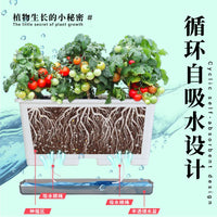 Rectangular Resin Garden Planter Box for Vegetables and Herbs, Deepened Design