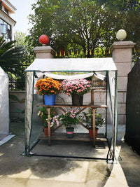 Outdoor Mini Greenhouse for Plants, Windproof and Rainproof Garden Hot House for Winter Plant Protection