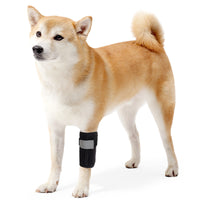 Adjustable Dog Front Leg Brace for Injury Recovery and Joint Protection