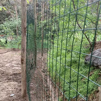 Green PVC Coated Welded Wire Mesh Fence for Garden and Poultry Enclosures