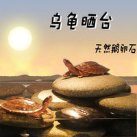 Natural Flat Pebble Turtle Basking Platform for Aquarium Terrarium, Reptile Climbing Rock, Fish Tank Decor with Hiding Cave