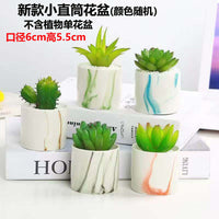 Jinglang Gardening Succulent Planter Pot with Cute Animal and Fruit Designs for Home Decor