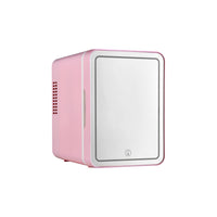 Portable Mini Car Home Refrigerator Warmer for Skincare and Food