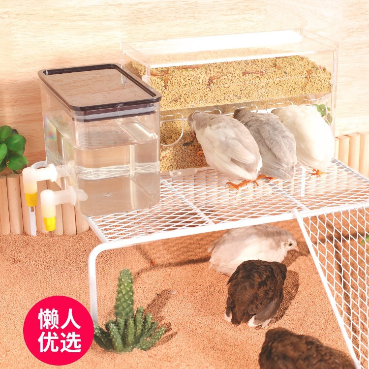 Quail Automatic Water Feeder and Food Dispenser with Anti-Scratch Trough
