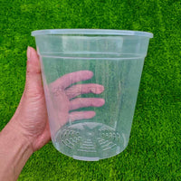 Clear Hard Plastic Orchid & Succulent Nursery Pot with Drainage Holes