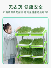 Hydroponic Seed Sprouter Tray Kit for Home Gardening, Soilless Bean Sprout Cultivator with Lid