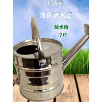 Stainless Steel Watering Can for Garden and Indoor Plants, Mini Lightweight Design
