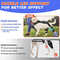 Pet Dog Rear Leg Brace for Injury Recovery and Support