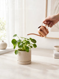 Stainless Steel Mini Watering Can for Indoor Plants, Succulents, and Children - 300ml/450ml