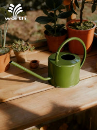 Long Spout Watering Can for Indoor Plants & Garden, 1L Stainless Steel Handle