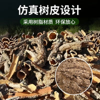 Resin Turtle Basking Platform and Hideaway Cave for Reptile Terrarium and Fish Tank Decoration