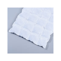 Disposable Self-Absorbing Ice Pack for Fresh Food and Fruit Preservation, Express Delivery, No Water Injection Required