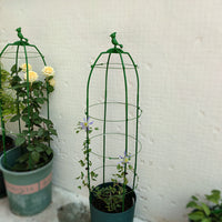 Garden Climbing Plant Support Trellis for Roses, Clematis, and Vines