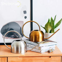 Stainless Steel Long Spout Watering Can for Indoor Plants