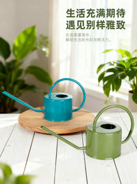 Long Spout Watering Can for Indoor Plants & Garden, 1L Stainless Steel Handle