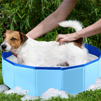 Foldable Pet Bathing Pool for Dogs and Cats - Portable and Easy to Clean