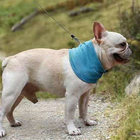 Pet Cooling Scarf for Dogs, Breathable Summer Ice Bandana for Heat Relief