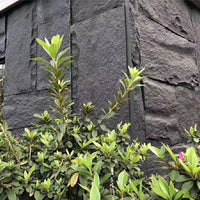 Lightweight PU Faux Stone Wall Panels for Garden Villa Background Decoration