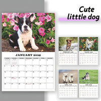 2025 Husky Puppy Wall Calendar A4 Size, 15 HD Pages