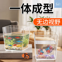 Mini Desktop Clear Fish Tank for Office Living Room, Small Ecological Aquarium