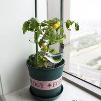 Garden Plant Trellis for Climbing Vines, Luffa, Beans, Cucumbers, Roses, and Potted Plants