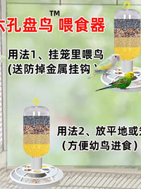 Six-Hole Bird Feeder Anti-Splash Parrot Feeder Automatic Dispenser Large Capacity Outdoor Hanging Bird Food Container